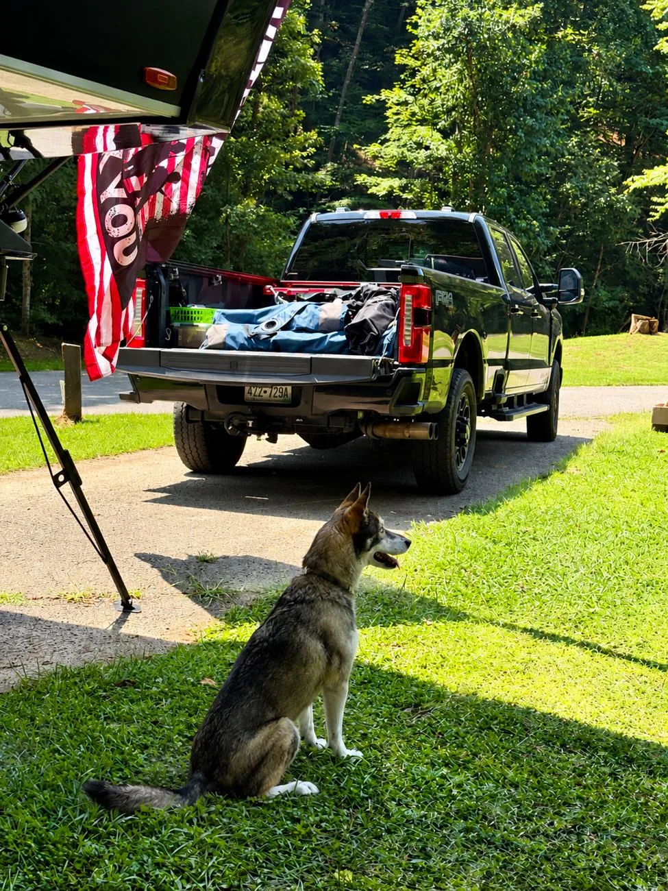 Luna sitting at our campsite beside the F-350
